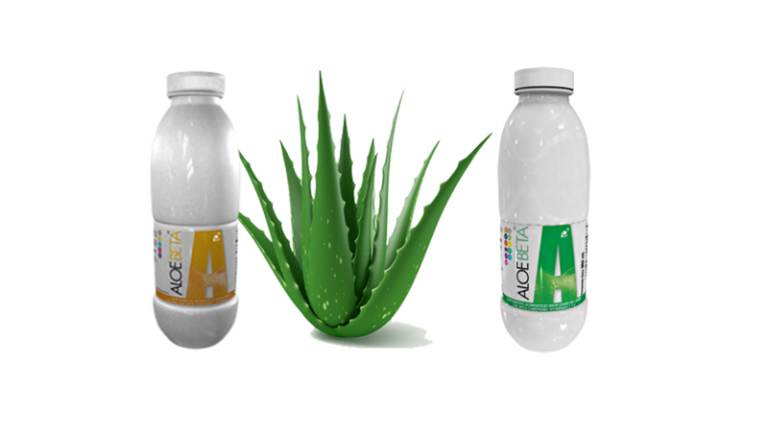 Aloe Beta Omnilife para qué sirve precio beneficios Apoya salud